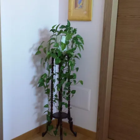 Garden فندق مبيت وإفطار