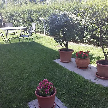 Garden 3* أريتسو